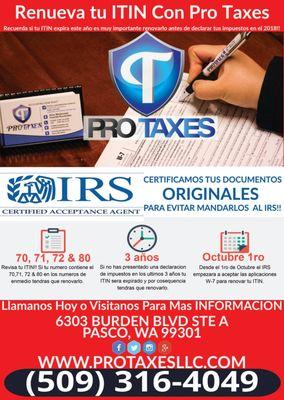 Pro Taxes