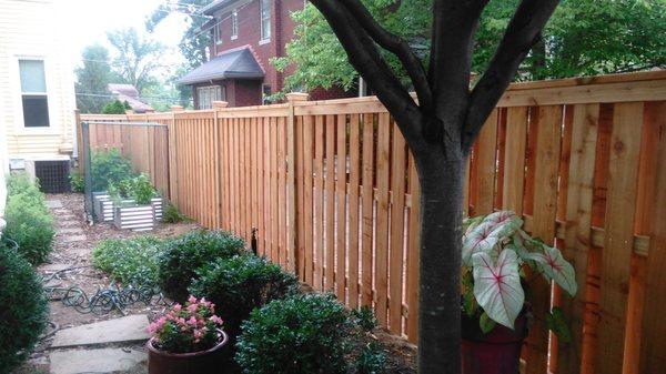 Cedar Framed top shadow box fence