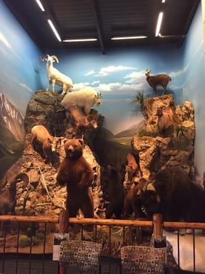 Mini Cabela's anyone?