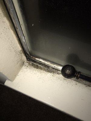 Mold on windows