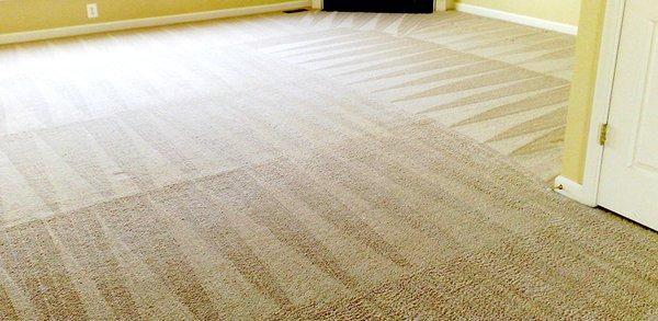 Fresh, clean room by Williams Carpet Care