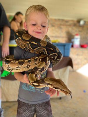 Austin Reptile Shows