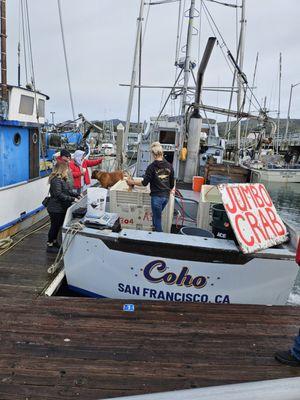 Pillar Point Harbor