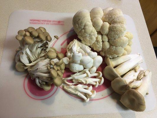 Wild mushroom medley