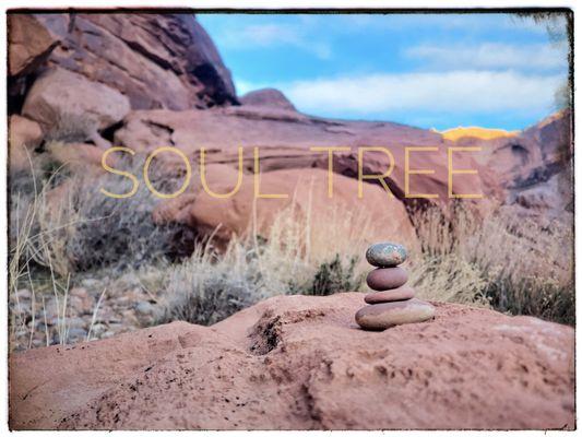 Soul Tree Counseling & Wellness