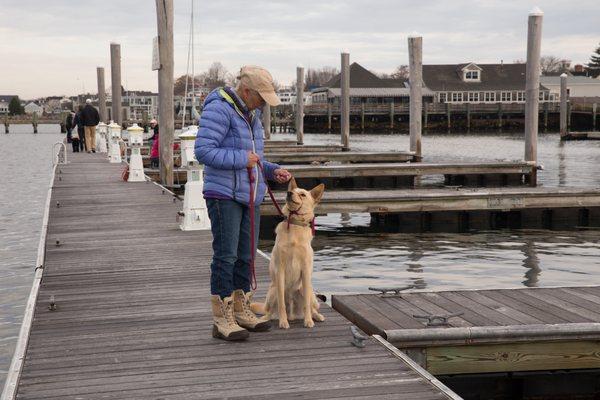 Off and on Life Skills Dock Dog Class