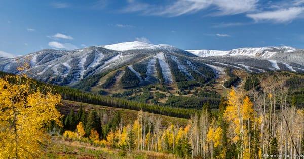 Winter's Edge
  by Paul Lewis