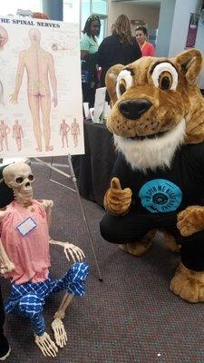 Meet Sam the skeleton. He's our Chiropractic Enthusiast!