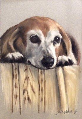 Pastel pet portrait from photo