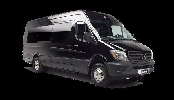 Sprinter Van comes in 4 different styles.  14 passenger normal, 13 passenger executive, 14 passenger limo layout, and 16 passenger L.