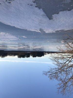 Ha! Upside down view of the frozen lake