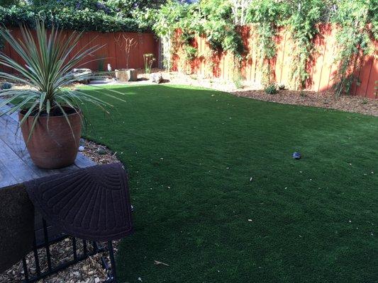 Artificial Turf Installation in Berkeley, CA