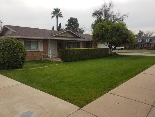 Central Phoenix lawn