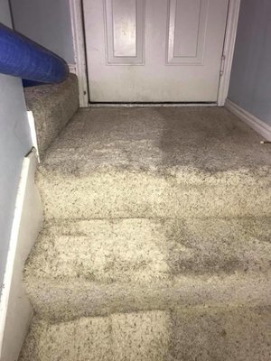 On The Spot Carpet Cleaner located in Pleasant Grove Utah serves Salt Lake City, South Jordan, Herriman, Sandy, Murray, and T...