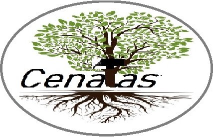 Cenata Services