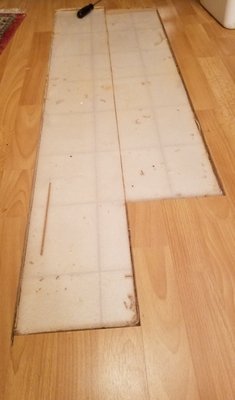 Was to replace 2 planks but ruined my entire kitchen floor.