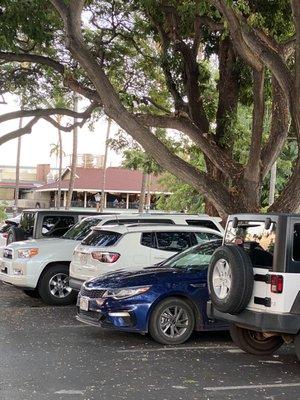 Tree branch in parking stall.