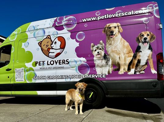 Pet Lovers Mobile Pet Grooming