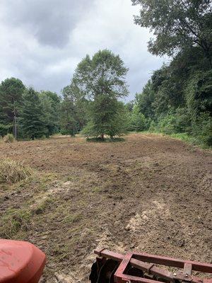 Wildlife food plot