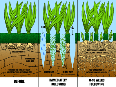 The benefits of an Aeration service.