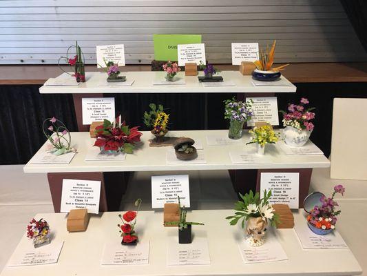 Riverside Community Flower Show 2017