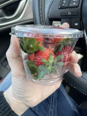 Fruit cup- only strawberries