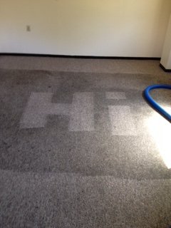 Best carpet cleaning ever! Owner operated, call Pat 518-857-3050