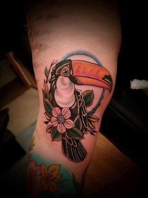 #Toucan #Colortattooartist