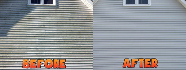 We remove mold from your homes exterior vinyl "Ask us about our Soft Wash Cleaning"