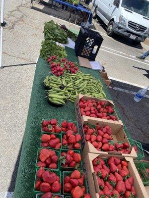 Fruits and vegetables grown by small family farms .