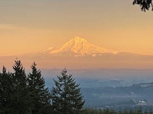 Mt Hood from Six Peaks Winery