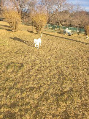 Monocacy Dog Park