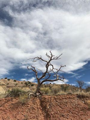 Love the natural desert landscape.