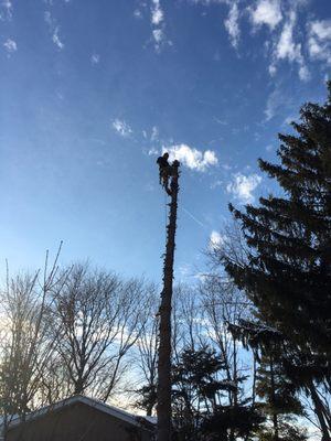 Axe Tree Service