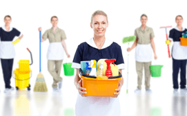 Purely Perfection Cleaning Services