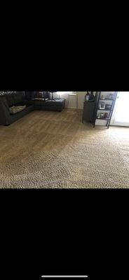 Get It Done Carpet Cleaning