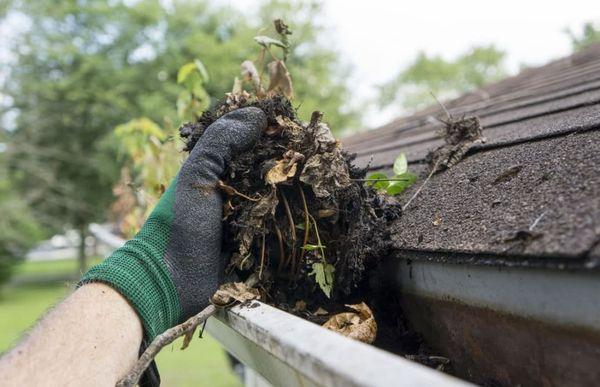 GUTTER CLEAN