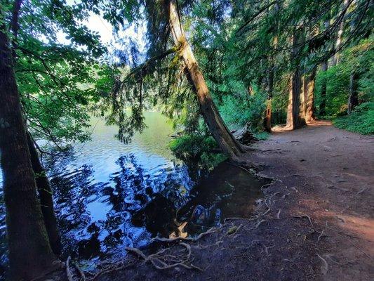 Battle Ground Lake State Park