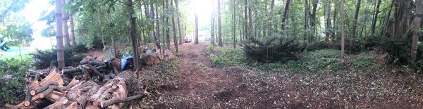 Panorama of prior appearance of our forest (both side) with cleared area in the middle.