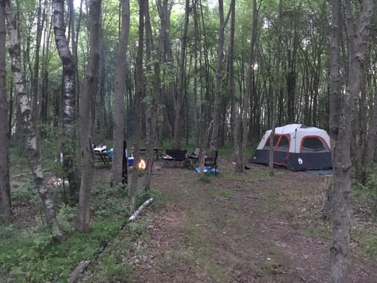 Home base, wooded tent site