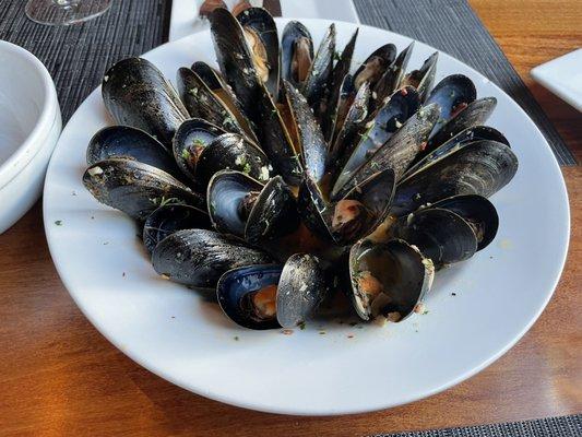 Mussels in white sauce