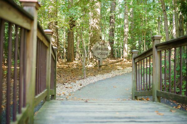 Our infamous Wishing Woods path, the pathway connecting our two campuses.