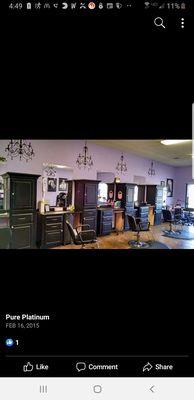 Pure Platinum Salon