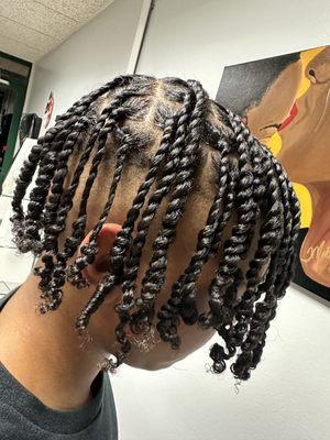 Two Strand Twist