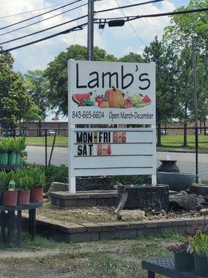 Lamb's