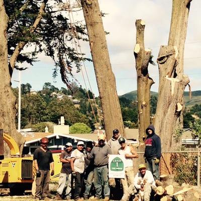 Coast 1 Tree Service