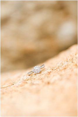 Engagement Session @ JC Raulston Arboretum, Raleigh NC