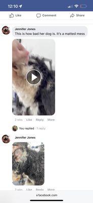 Harassment and slander from Affordable Pet Grooming