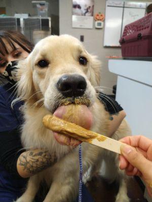 My dog at his check up at My Pets Animal Hospital. The vet techs were excellent