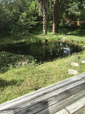 Lovely pond, just looking at it relaxes me